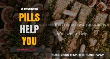 Mushroom Pills: A Natural Health Boost?
