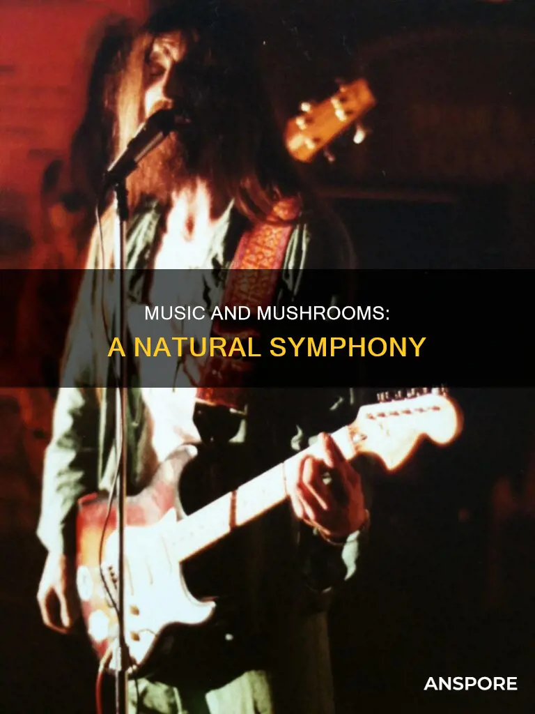 do mushrooms play music