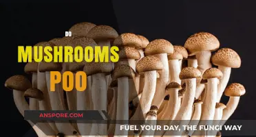 Mushrooms and Their Pooping Habits Explained