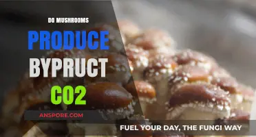 Mushrooms: CO2 Producers or Not?