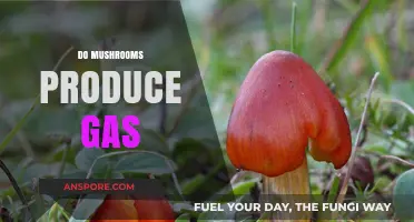 Mushrooms and Gas: What's the Deal?