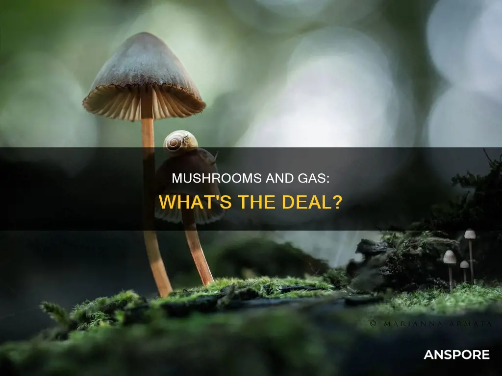 do mushrooms produce gas