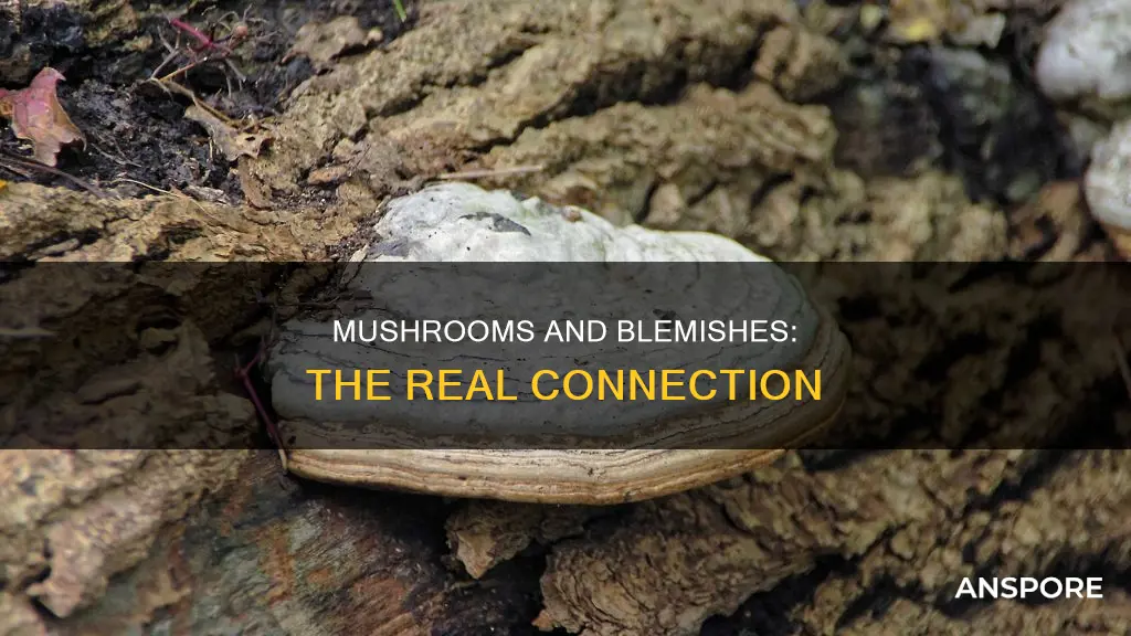 do mushrooms raise blemishes
