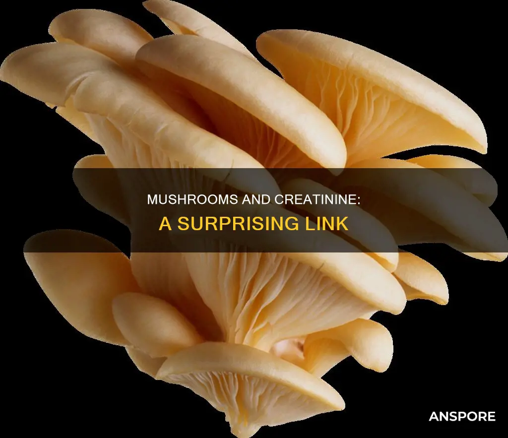 do mushrooms raise creatinine
