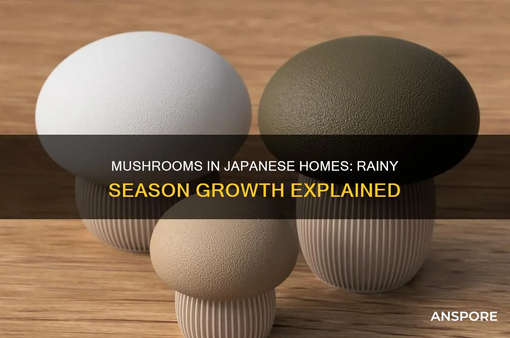 do mushrooms really grow in houses in japan rainy season