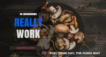 Mushrooms: Do They Work?