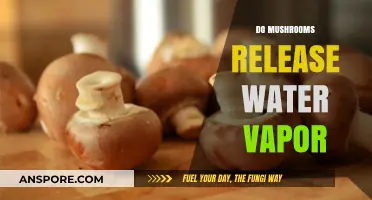 Mushrooms: Nature's Humidifiers?