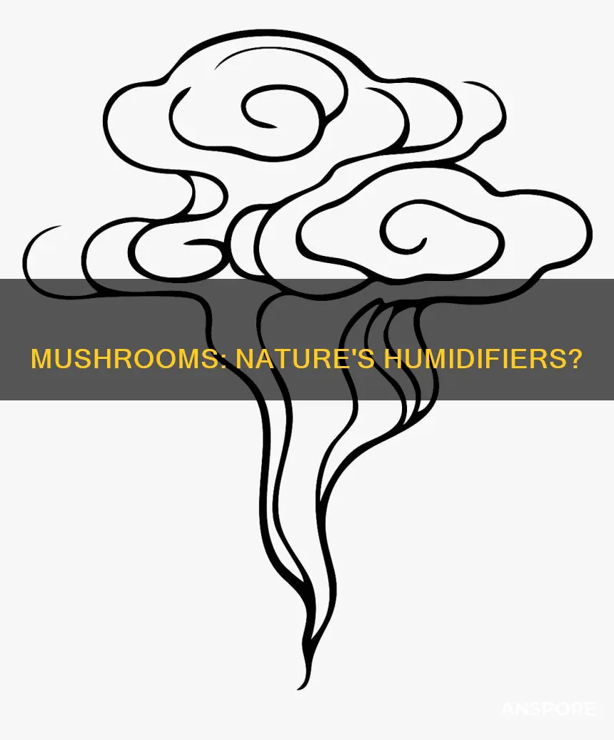 do mushrooms release water vapor