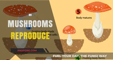 Mushrooms' Intriguing Reproduction: How Do They Do It?