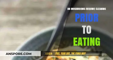 Should You Clean Mushrooms Before Cooking? Essential Tips for Safe Prep