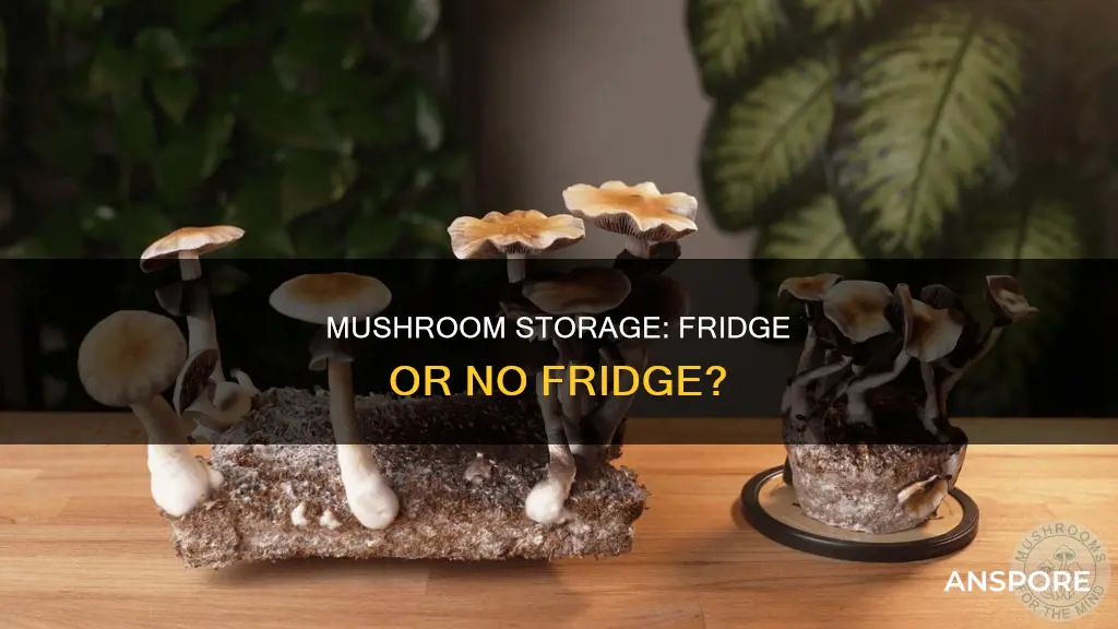 do mushrooms require refrigeration