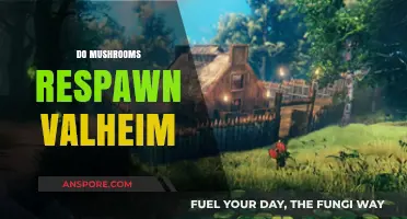 Valheim: Finding Respawned Mushrooms in Your World
