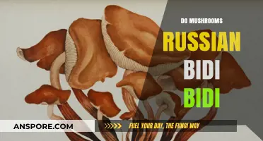 How Mushrooms 'Breathe' and 'Talk' to Each Other