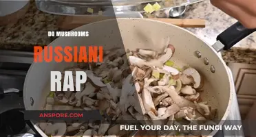 Mushrooms and Russian Rap: An Unlikely Collaboration