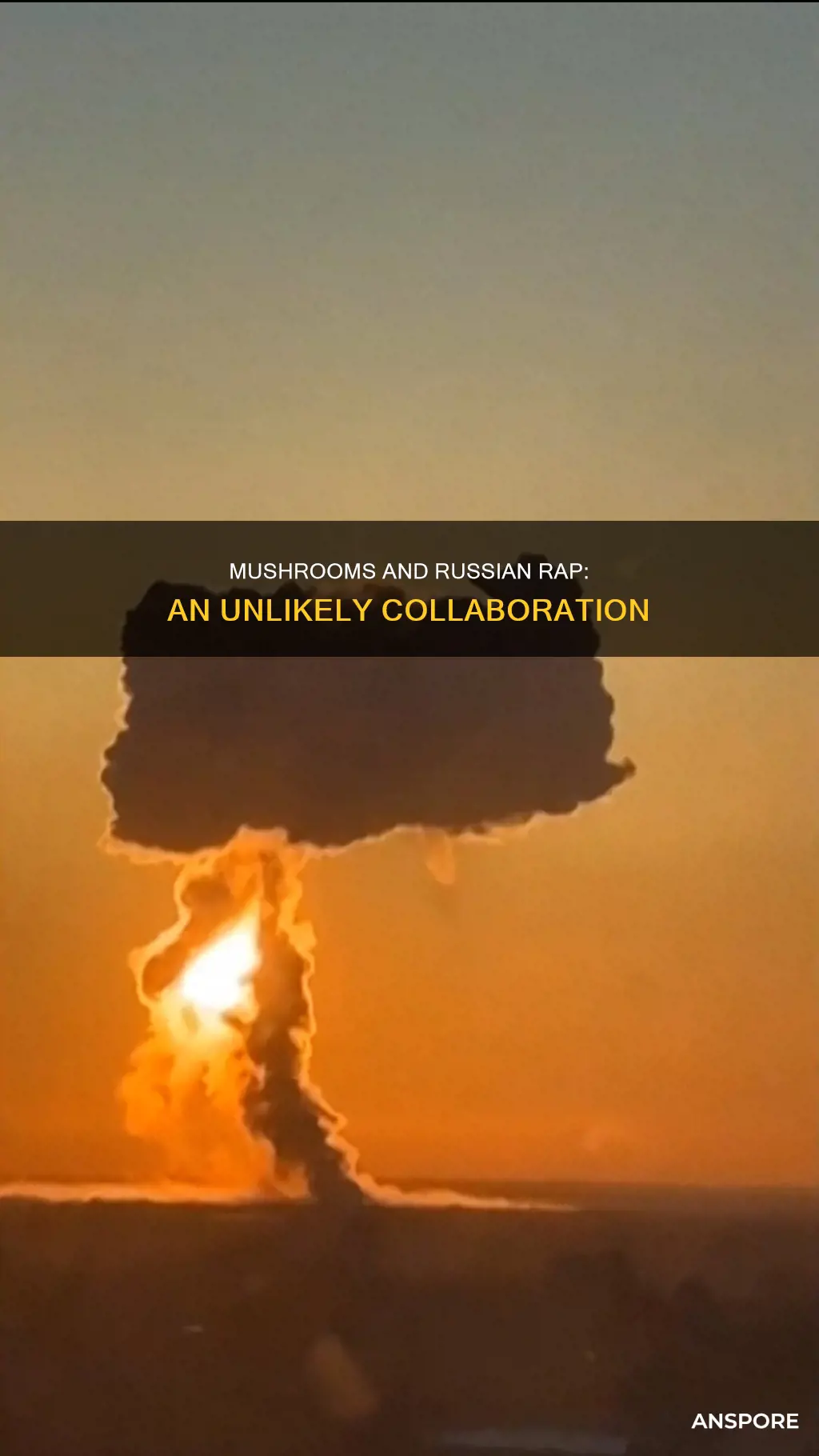 do mushrooms russiani rap