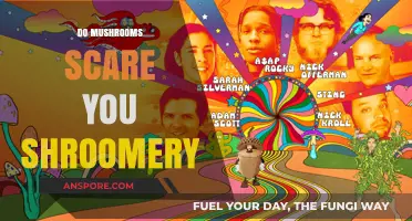 Mushroom Consumption: Exploring the Fear Factor