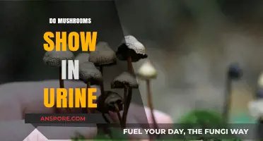 Mushroom Toxins: Do They Show in Urine?