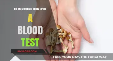 Do Mushrooms Appear in Blood Tests? Uncovering the Truth