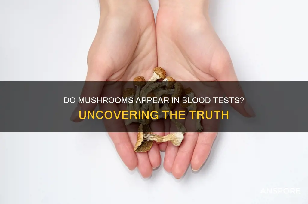 do mushrooms show up on a blood test