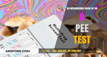 Do Mushrooms Appear in Urine Tests? Facts and Myths Explained