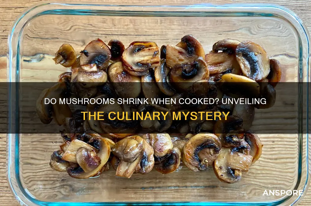 do mushrooms shrink when cooked