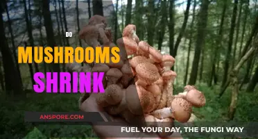 Mushrooms: The Ultimate Shrinking Food?