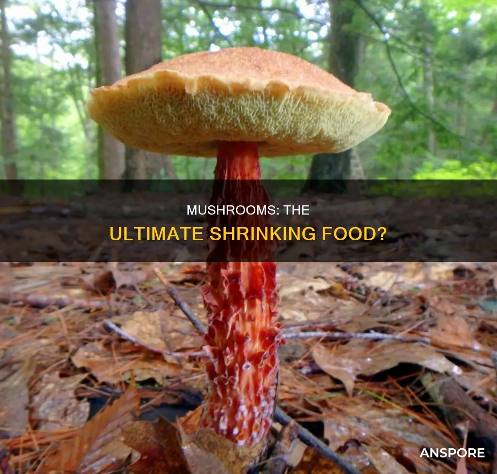 do mushrooms shrink