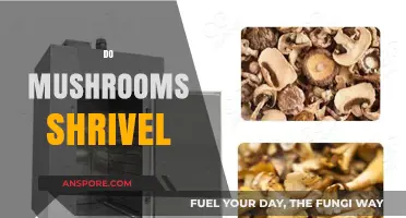 Why Do Mushrooms Shrivel?