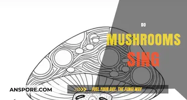 The Mushroom Chorus: Do Fungi Sing?