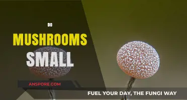 Mushrooms: Why Do They Shrink When Cooked?