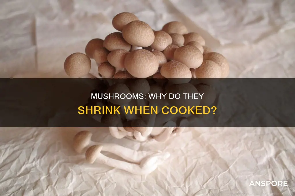 do mushrooms small
