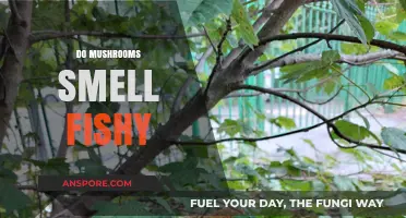 Mushrooms: Fishy Smell, What's the Deal?