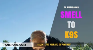 Mushroom Scents: Can K9s Sniff Them Out?