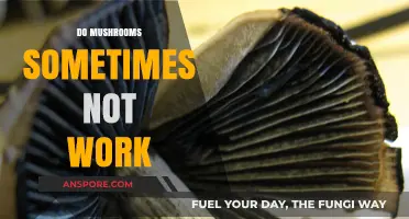 Why Do Magic Mushrooms Sometimes Fail?