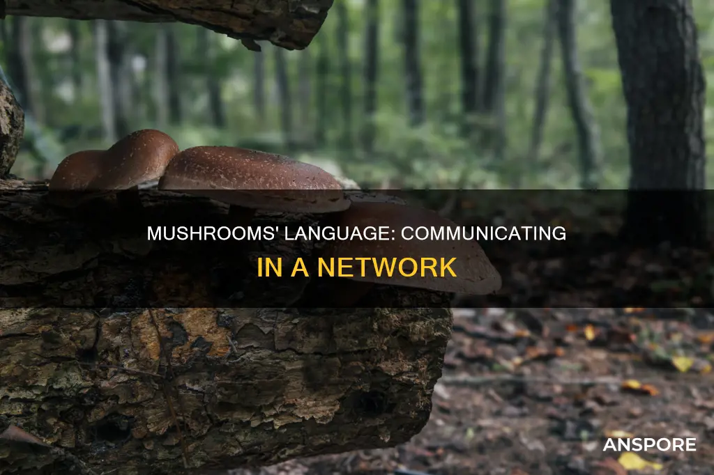 do mushrooms speak