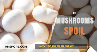 Mushrooms: How Long Do They Last?