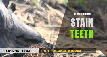 Mushrooms: Teeth Staining or Not?