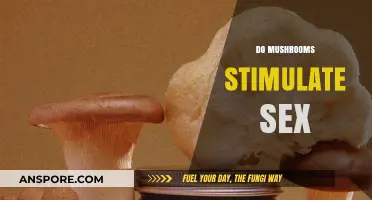 Mushrooms and Sex: A Stimulating Combination?