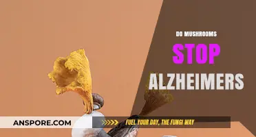 Mushrooms: Alzheimer's Natural Defense?