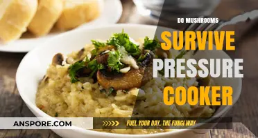 Can Mushrooms Withstand Pressure Cooking? A Survival Guide