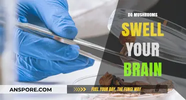 Mushrooms: Brain Inflammation and Swelling
