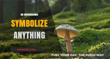 Mushrooms: Ancient Symbolism and Their Spiritual Meanings