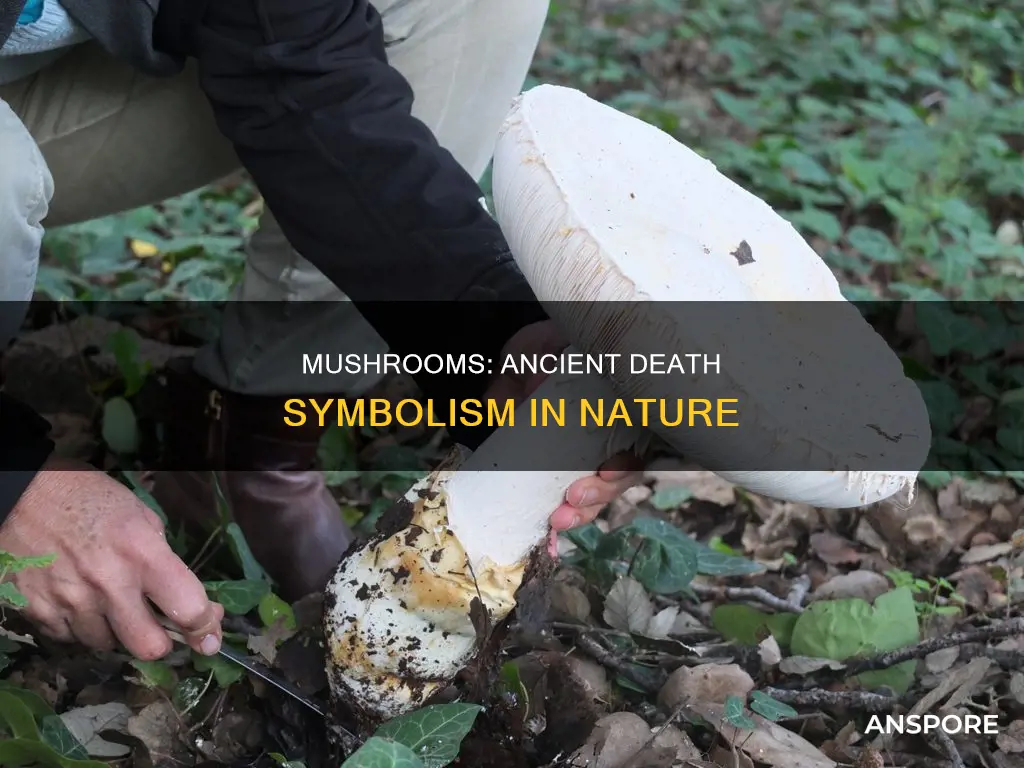 do mushrooms symbolize death