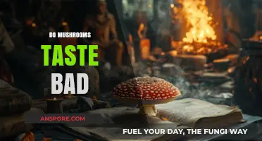 Do Mushrooms Taste Bad? Exploring the Flavor Myths and Truths
