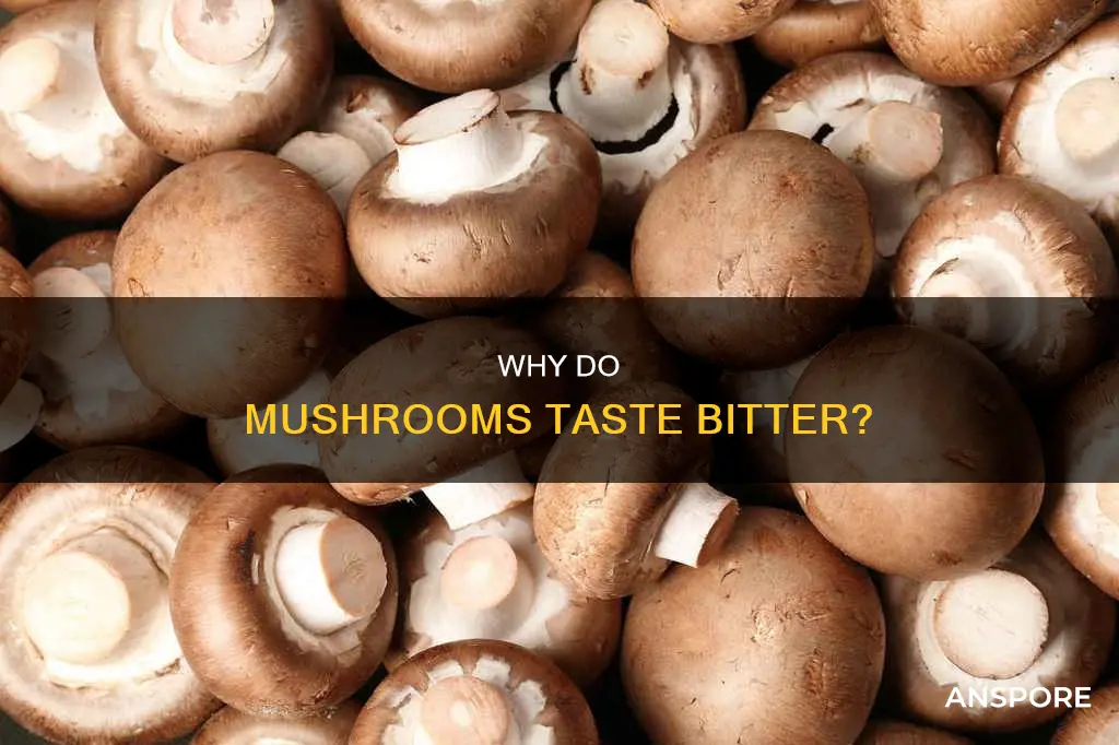 do mushrooms taste bitter