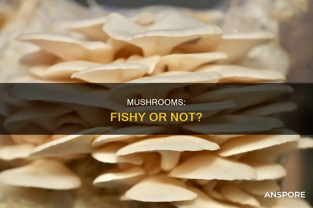 do mushrooms taste fishy