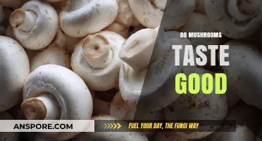 Exploring the Flavorful World: Do Mushrooms Taste Good?