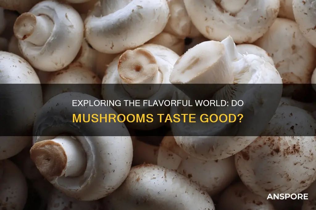 do mushrooms taste good