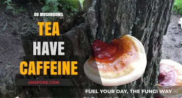 Mushroom Tea: Caffeine or Not?