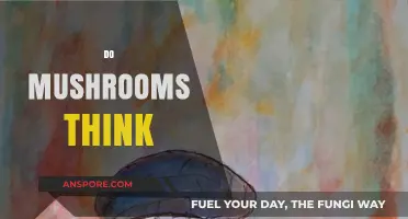 Mushrooms: Do They Think and Feel?